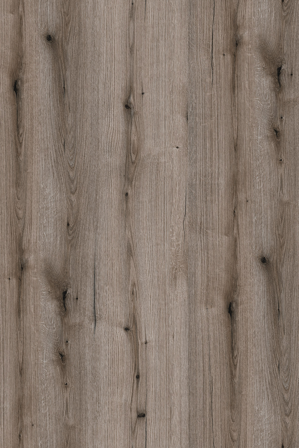 K366 PW Дуб Эвок Окаменелый